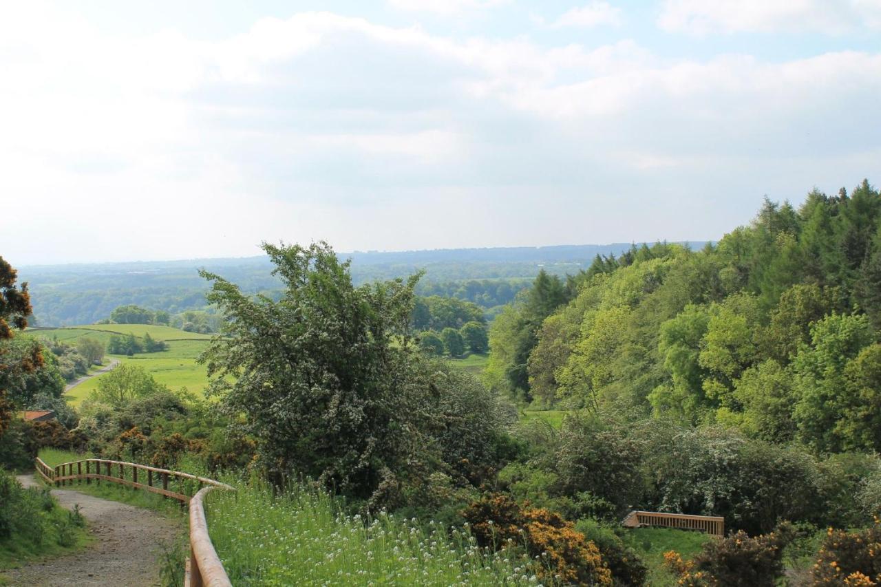 Yorkshire Dales Lodge 4 Family 3 Bed 里士满 外观 照片